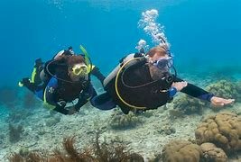 Best Places For Scuba Diving In India