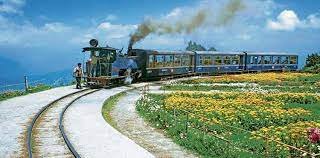 The Charm Of Darjeeling: From Toy Trains To Tea Gardens