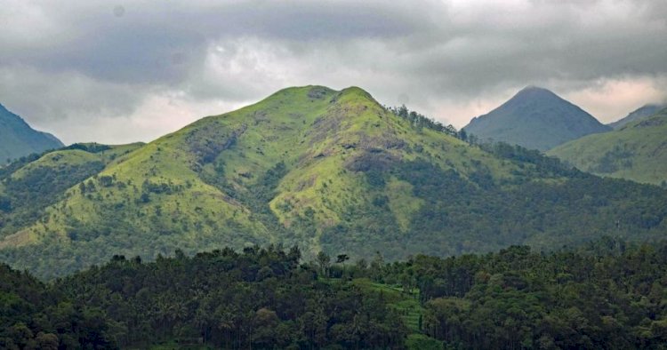 Munnar Magic: Discovering The Natural Wonders Of Kerala�S Hill Station